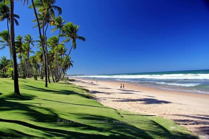 uma praia com palmeiras e pessoas caminhando na areia em Hospedaria Guapê em Lauro de Freitas
