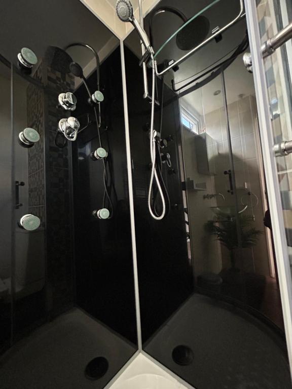 een douche met een glazen deur in de badkamer bij Dana guest suite in Horley
