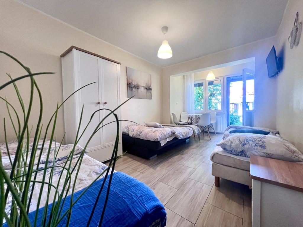 Oaza - Viervoudige Kamer Met Douche