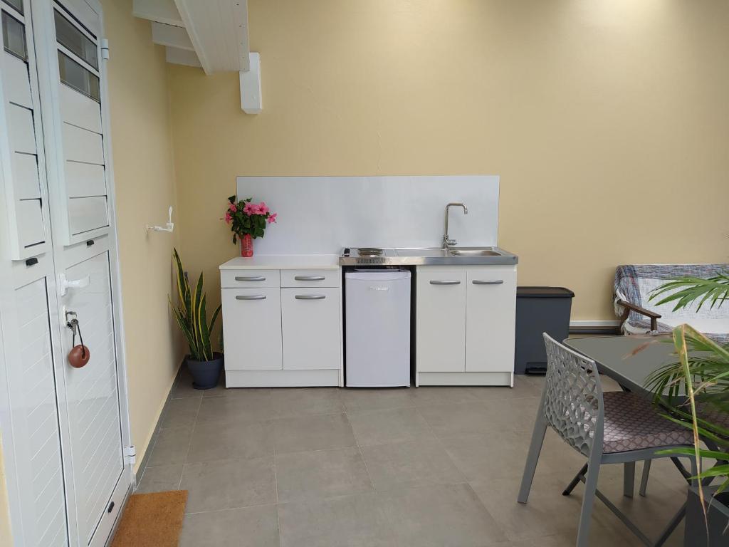 Kuchyň nebo kuchyňský kout v ubytování Villa Créoléna