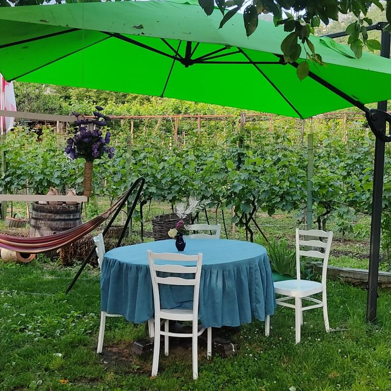 Zahrada ubytování Lunisi Kvareli