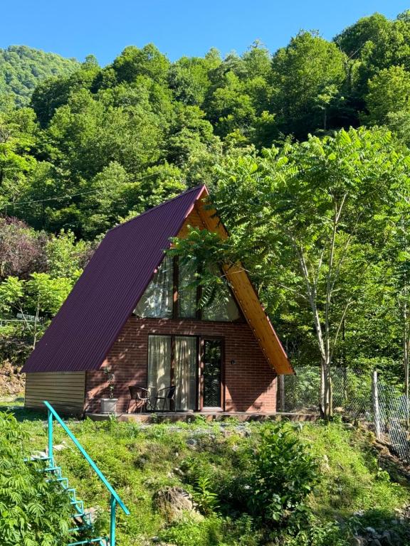 Naturlandskabet i nærheden af chaletet