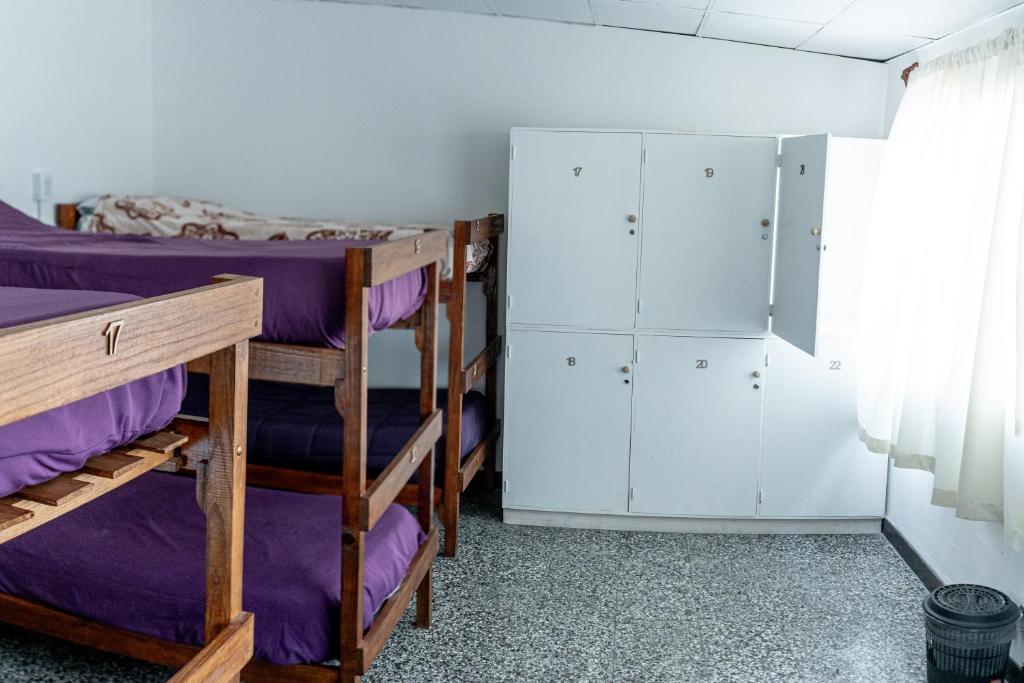 a dorm room with two bunk beds with purple sheets at Qaway in Salta