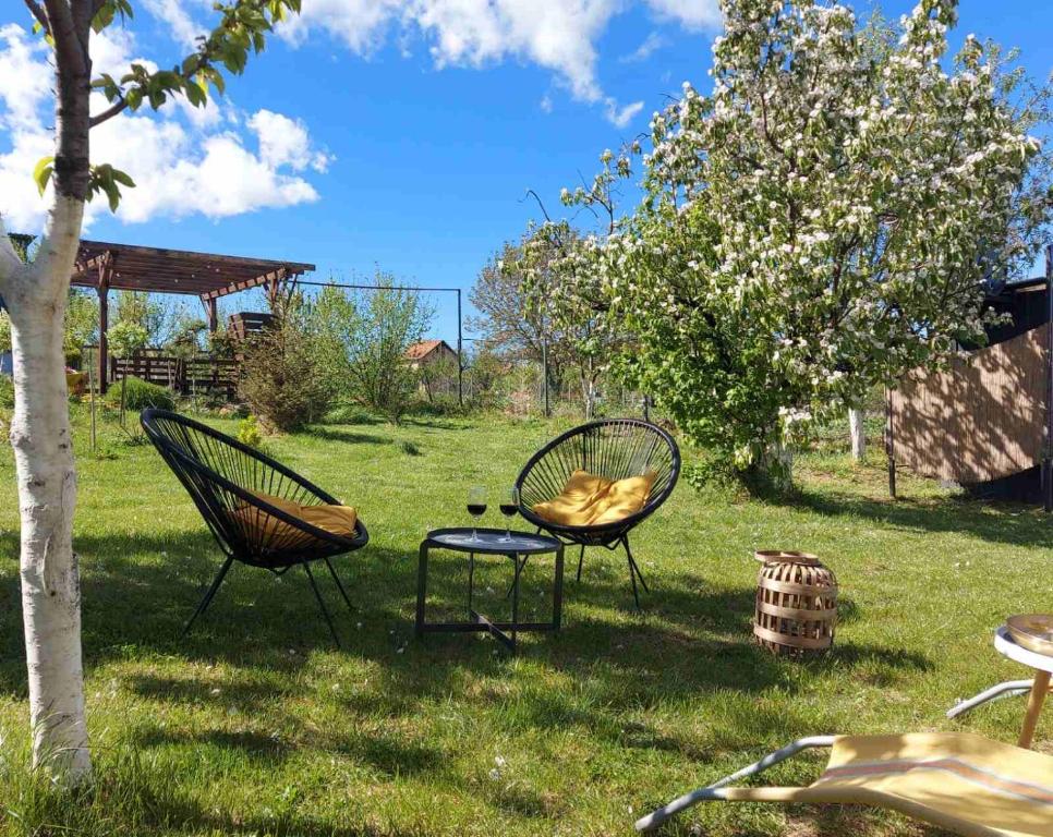 Zahrada ubytování Vila Stancevic wellness