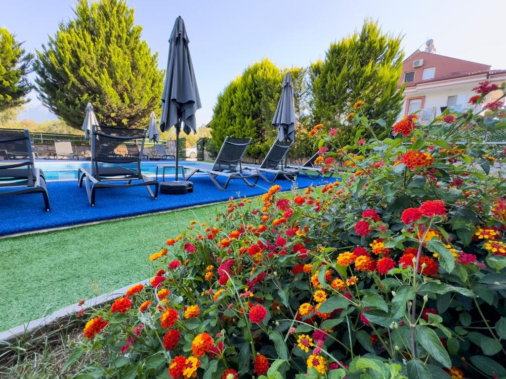 Zahrada ubytování Sardunya Hotel