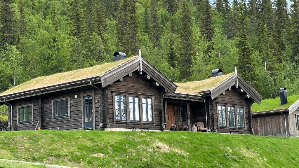 a log cabin with a grass roof on a hill at Liaplassen Tømmerhytte in Beitostøl