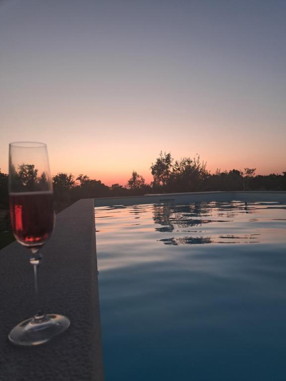 una copa de vino junto a la piscina en Monte do Rochinha en Monte da Cardosa