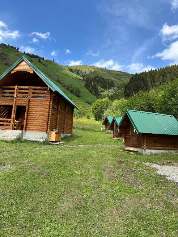 Příroda nedaleko luxury tent