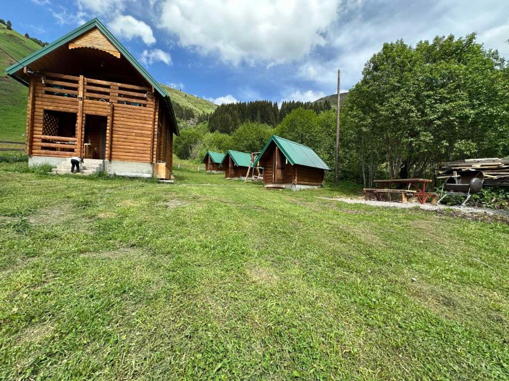 Příroda nedaleko luxury tent
