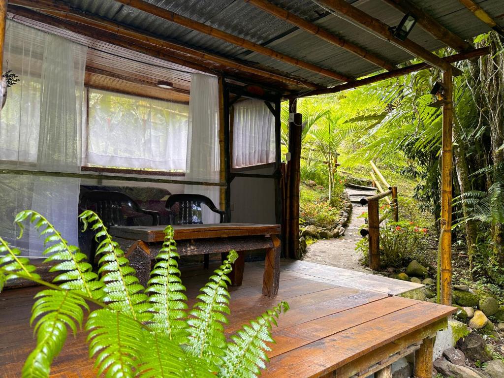 Zahrada ubytování Ecolodge El Puente