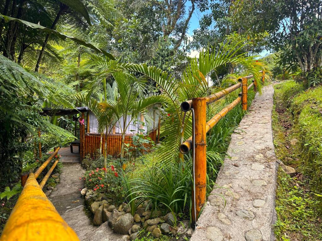 Zahrada ubytování Ecolodge El Puente