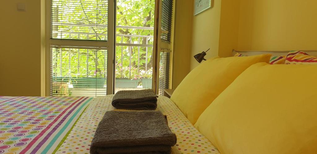 Private studio in the city center, close to subway, Medical academy