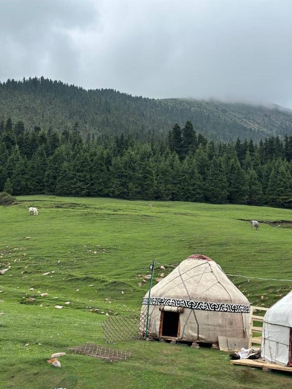 Sayakat Yurt Camp - Tenda