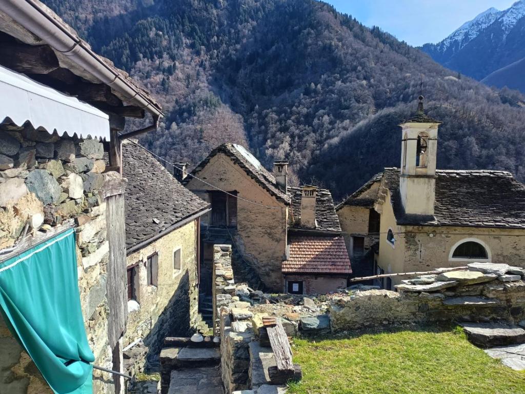 Příroda nedaleko apartmánu