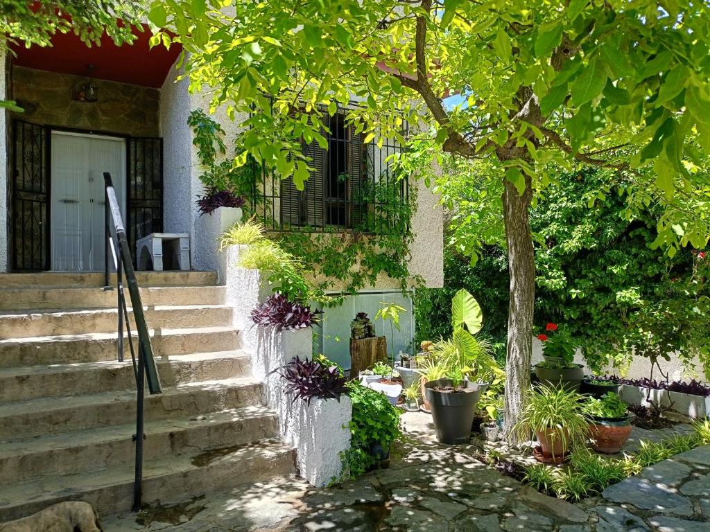 Vonkajšia záhrada v ubytovaní Casa Rural La Promesa Granada