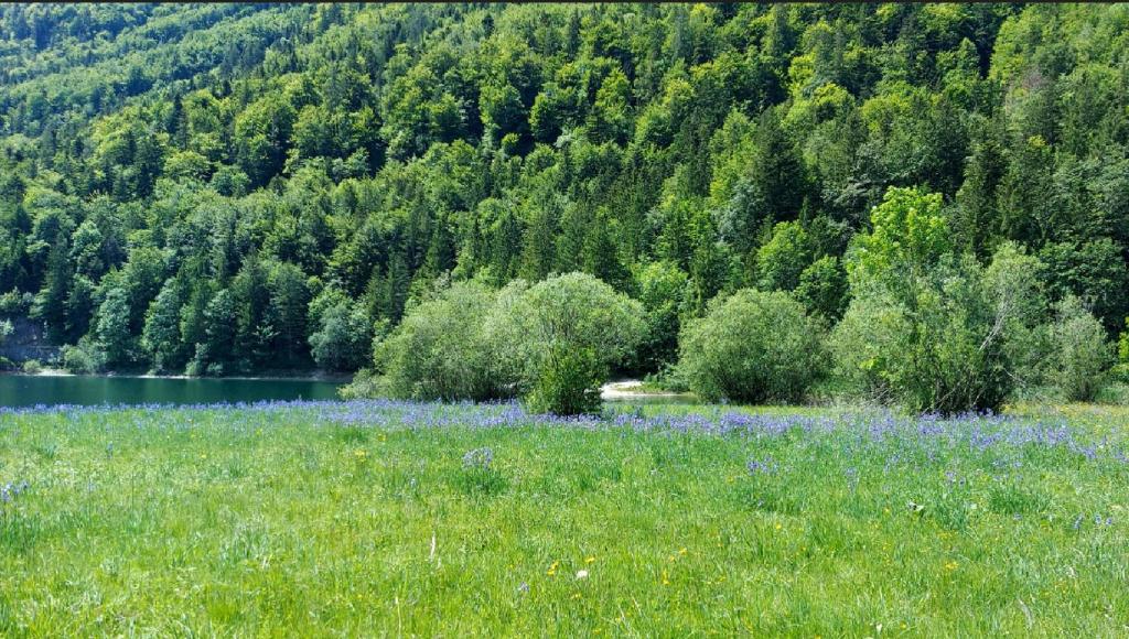 Príroda v okolí dovolenkového domu