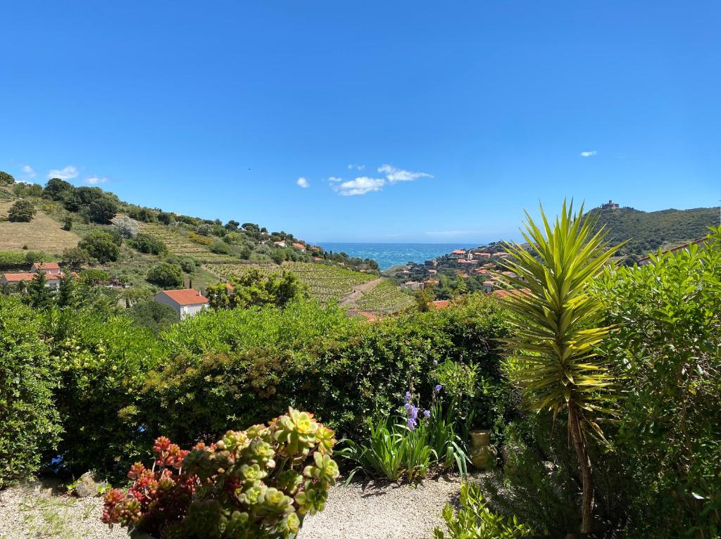 a view of a garden with plants and trees at Les Vigies-T4 au calme-vue mer-terrasse-Parking in Collioure