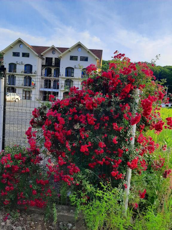 Zahrada ubytování Sofial Guesthouse