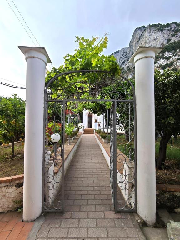 an entrance to a garden with an iron gate at Casa Ferraro in Marina Grande di Capri