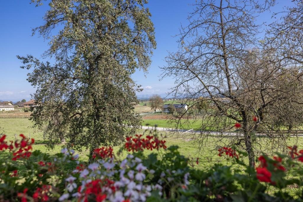 Zahrada ubytování Bauernhof Pension Hofmayer