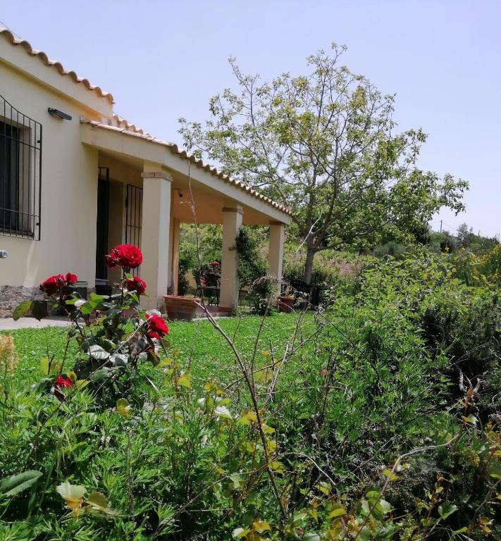 Taman di luar S'orrosa casa vacanze bifamiliare in montagna panorama stupendo Sardegna