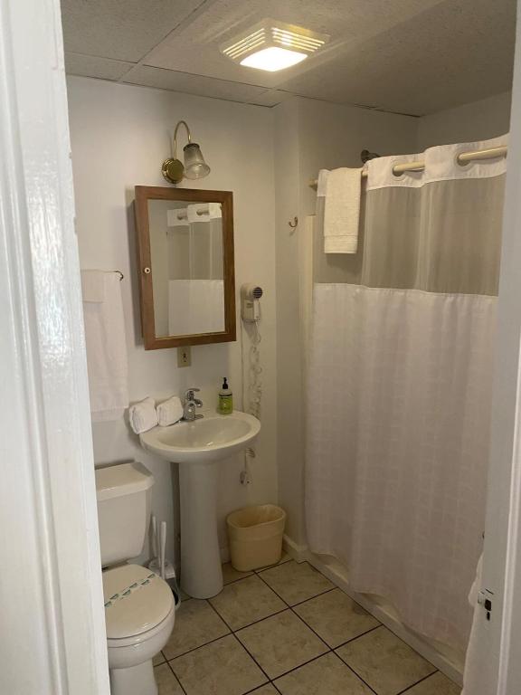 un bagno con un water e un lavandino di The Champagne Suite 2 a Hammondsport