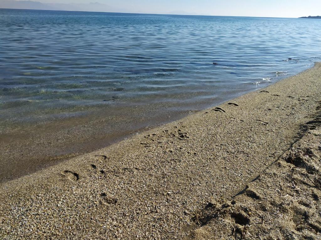 Fotografie z fotogalerie ubytování Katerina's House v destinaci Nea Makri