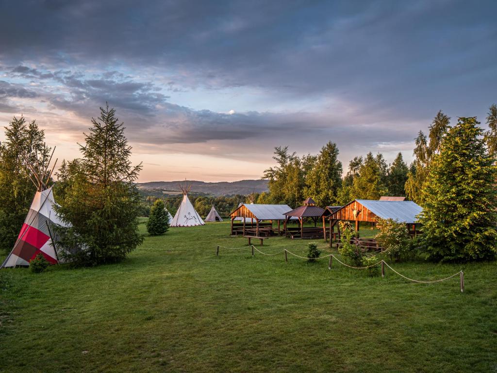 a group of tents in a field with trees at Fort Wapiti in Zalasowa