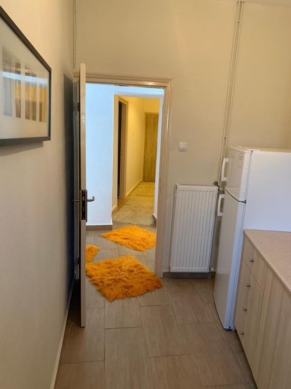 Il comprend une cuisine équipée d'un réfrigérateur et un couloir avec un tapis. dans l'établissement Iras House, à Karditsa
