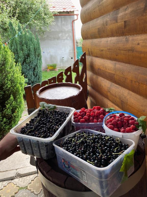 Fotografie z fotogalerie ubytování Вілла де Кампо v destinaci Chynadiyovo