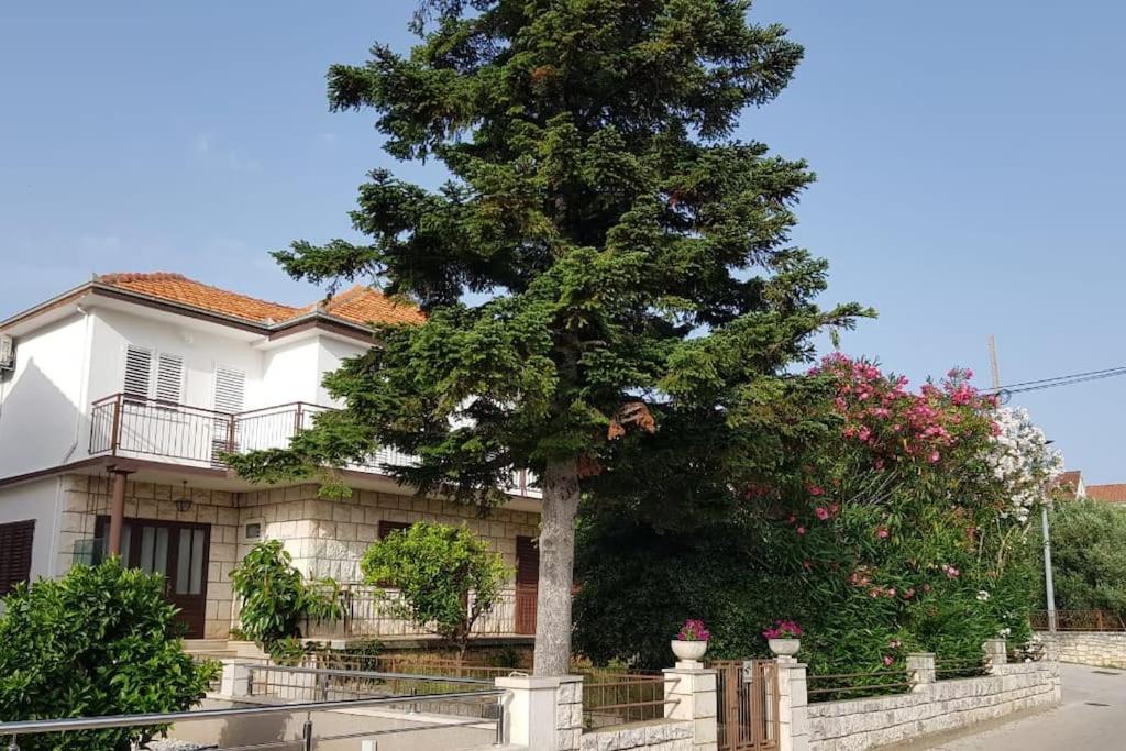 Apartman Petar