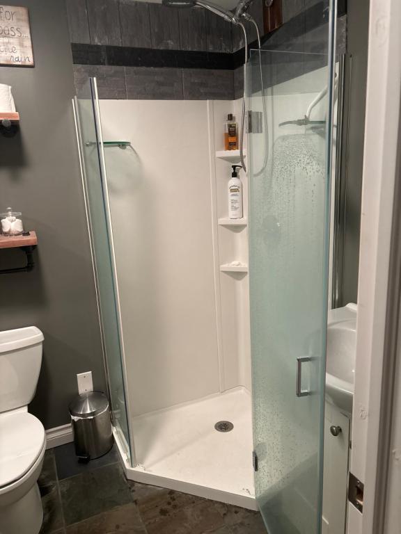 W łazience znajduje się prysznic ze szklanymi drzwiami. w obiekcie Nature Retreat in the city w mieście Ottawa