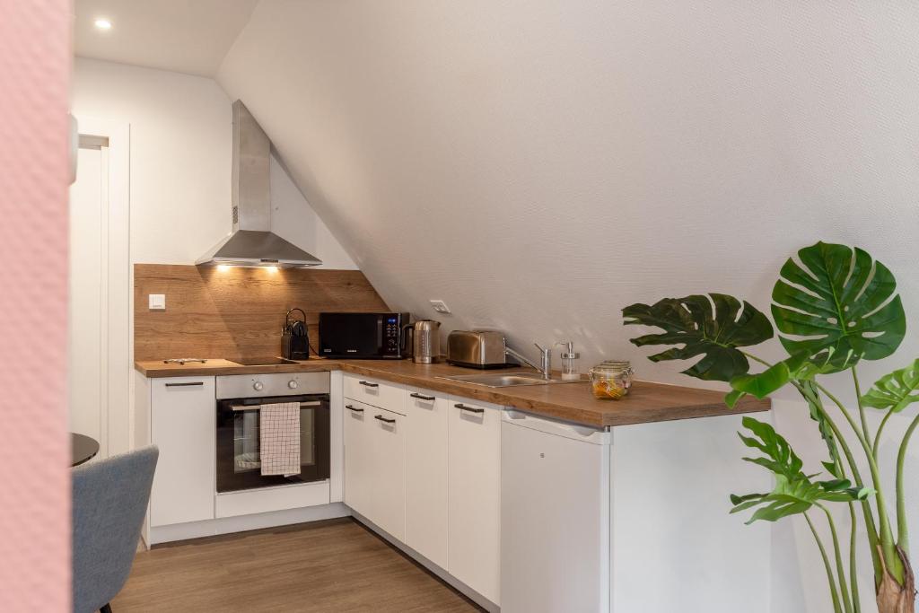 Travel Homes - Republic, charm in the heart of Colmar – photo 21