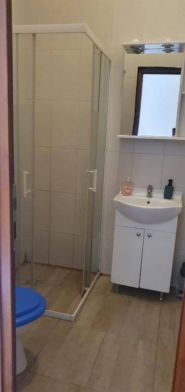 Koupelna v ubytování Cazare - Accommodation