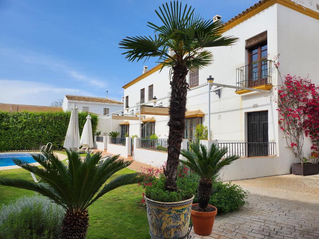 una villa con una palma e una piscina di Hacienda Olontigi ad Aznalcázar
