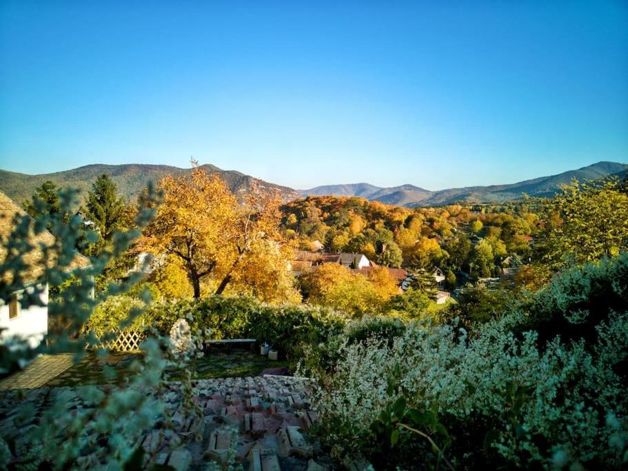a view of a cemetery with trees and mountains at Templomdomb Vendégház Dunakanyar in Pilismarót