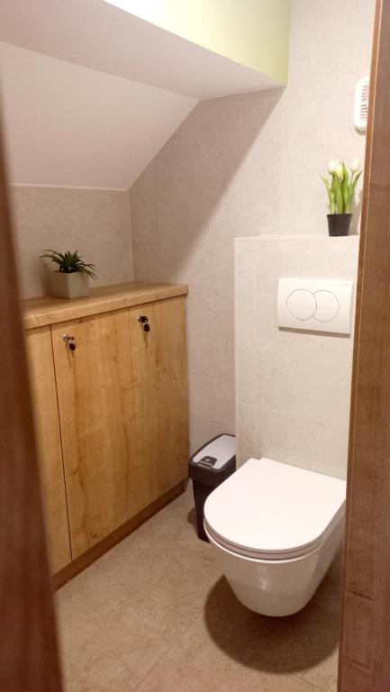 Koupelna v ubytování Apartma Rožle
