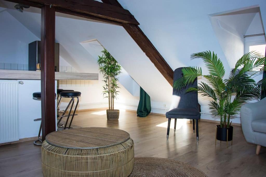 un salon avec une table et des plantes dans l'établissement T3 plein de charme au cœur de Montbéliard, à Montbéliard