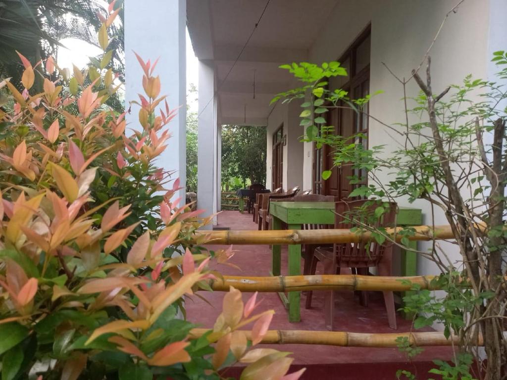 Zahrada ubytování N S K Green Villa