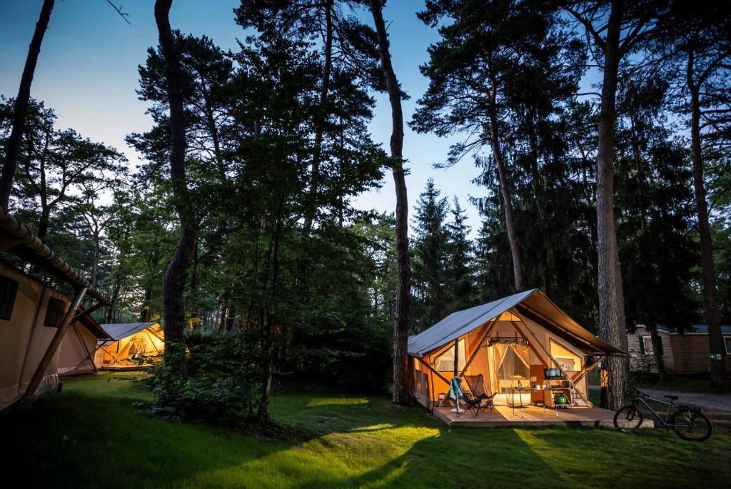 Zahrada ubytování Camping La Pinède
