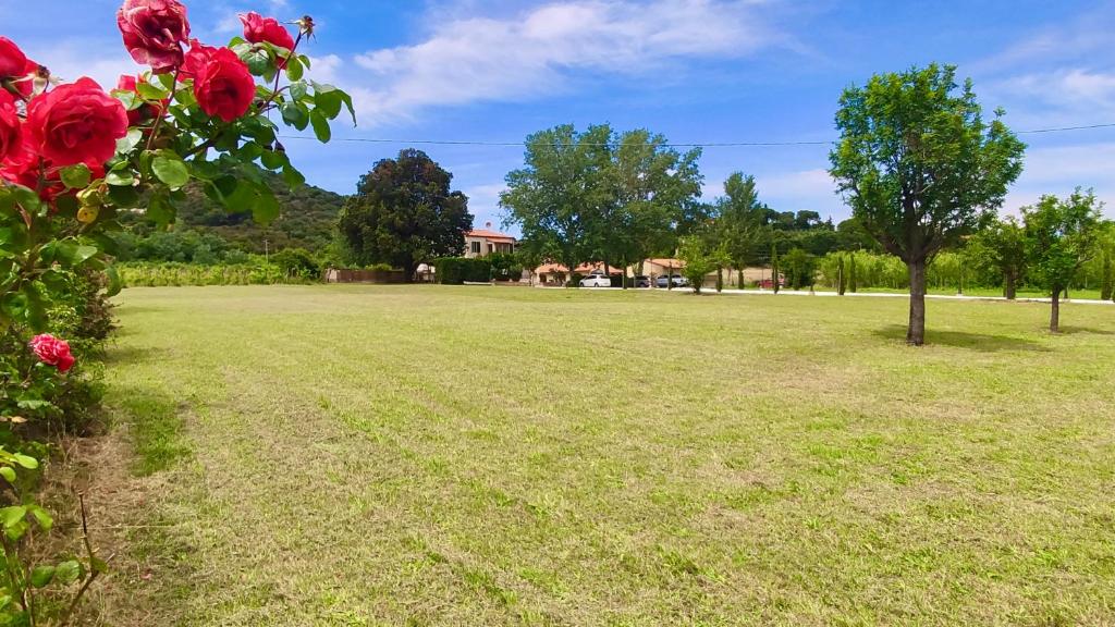 a field of grass with a tree and red roses at Podere Il Ritorno in Portoferraio