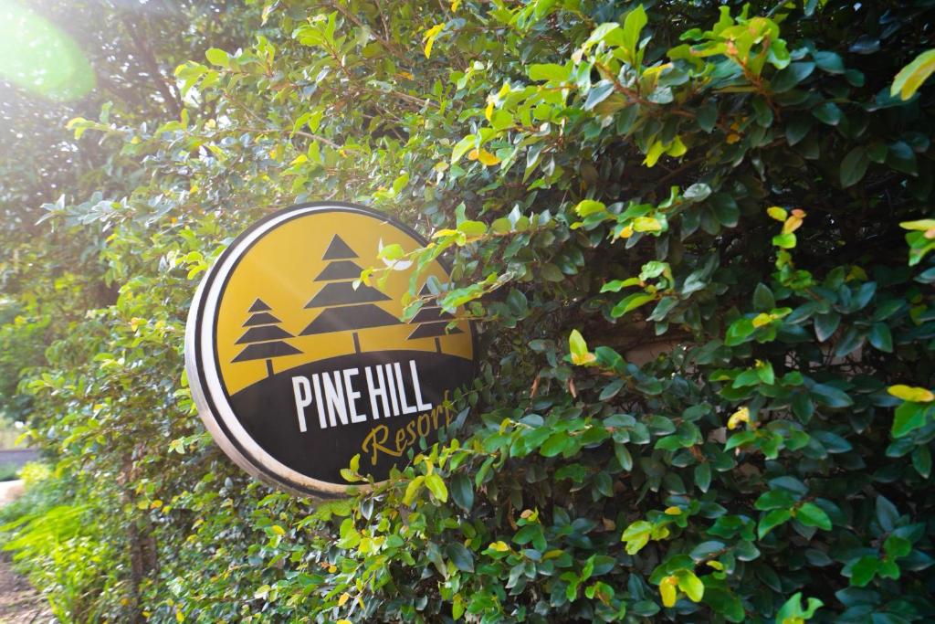 Certifikát, hodnocení, plakát nebo jiný dokument vystavený v ubytování Pine Hill Villas & Camping