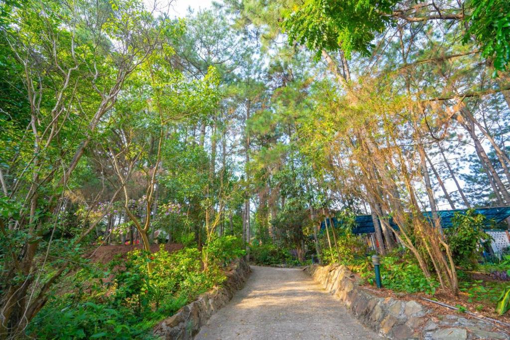 Zahrada ubytování Pine Hill Villas & Camping