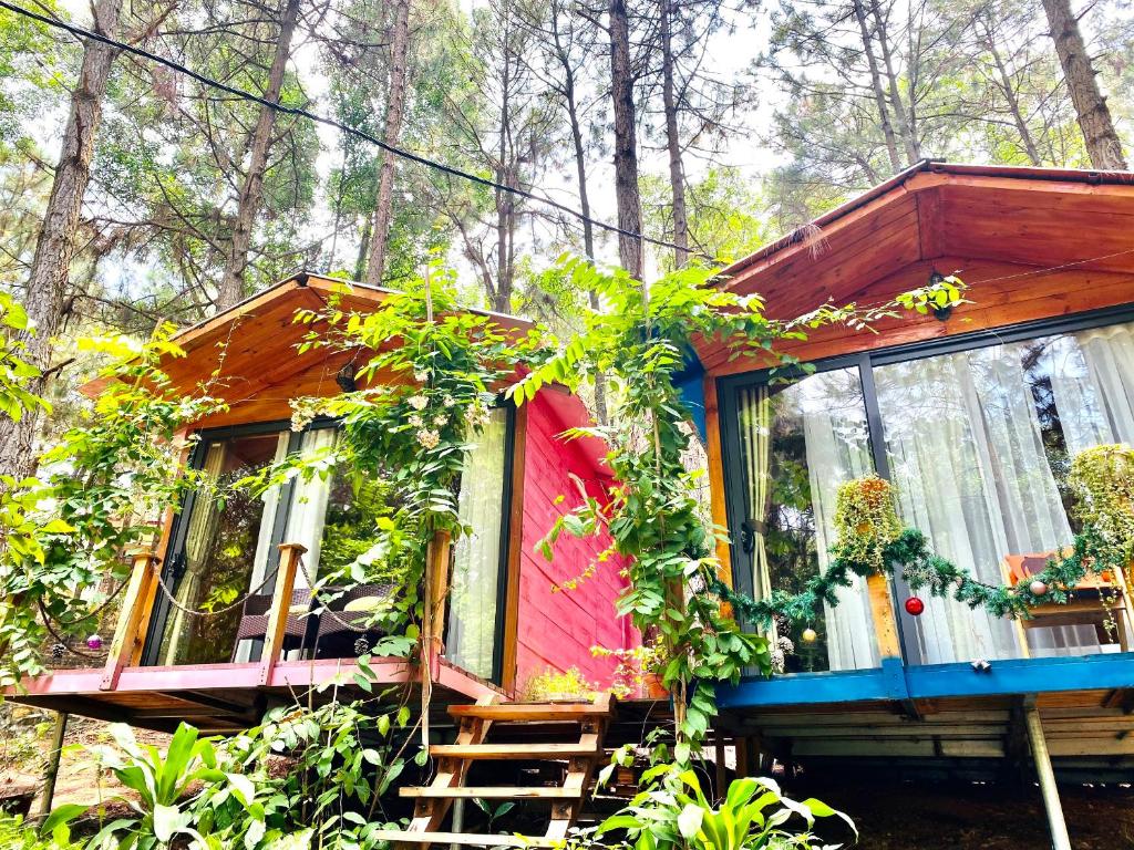 Zahrada ubytování Pine Hill Villas & Camping