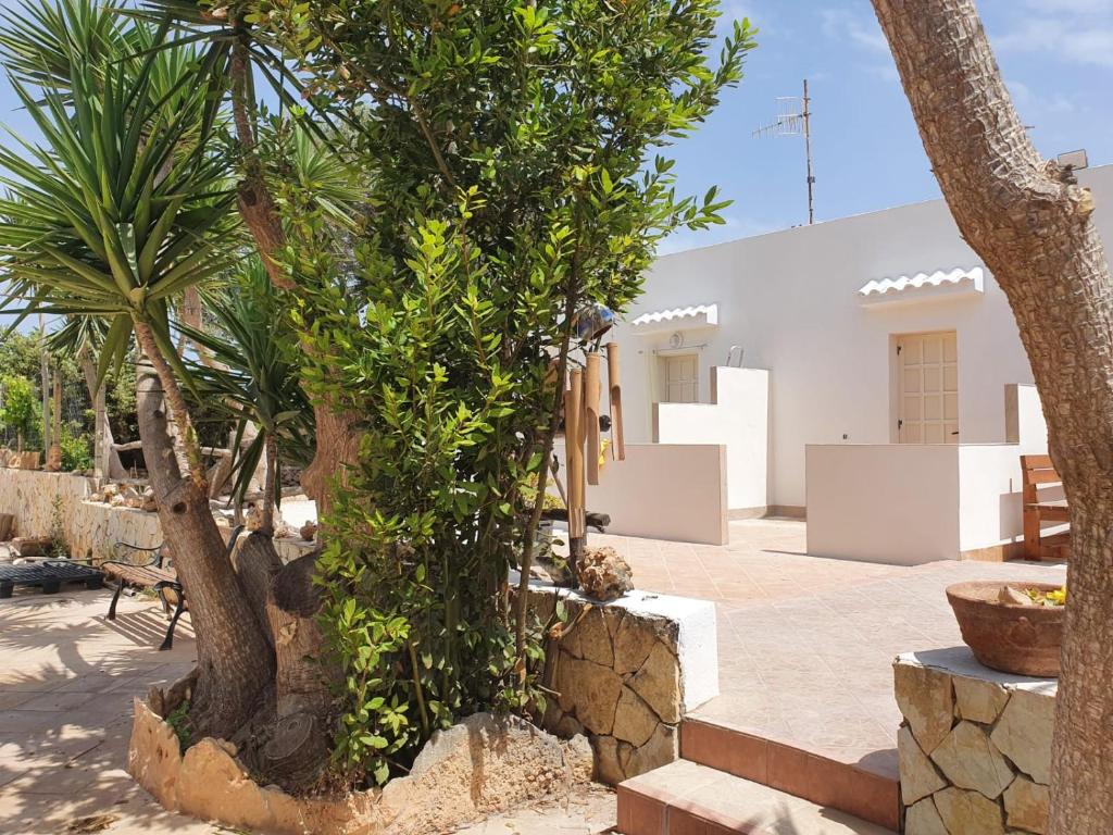 a courtyard with palm trees and a building at Villa Migliore in Lampedusa
