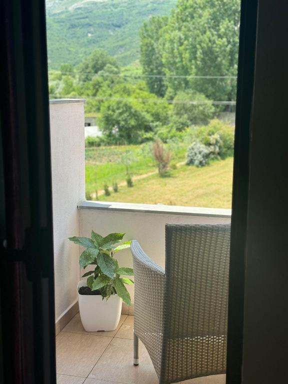 Příroda nedaleko hotelu