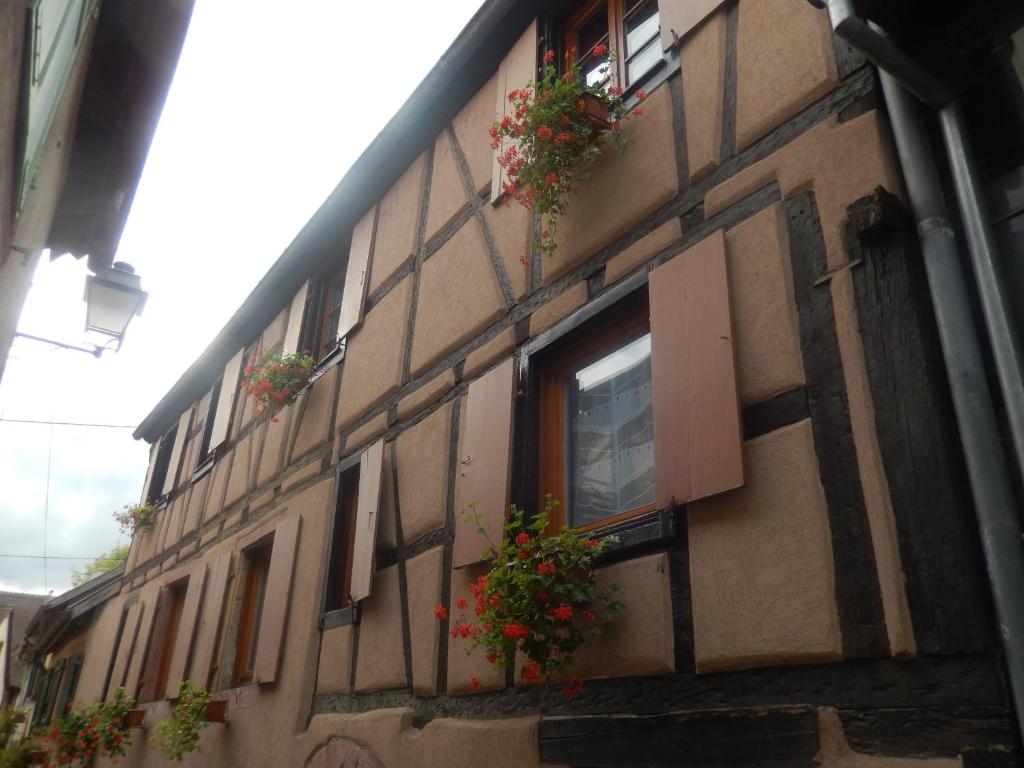 Gîte les Cigogneaux – photo 10