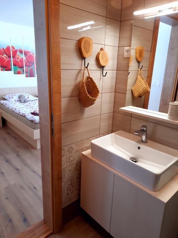 Koupelna v ubytování Apartma Rožle