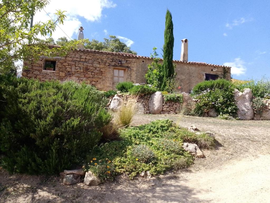 een oud stenen huis met een boom en struiken bij holiday home su Niberalzu in Monti