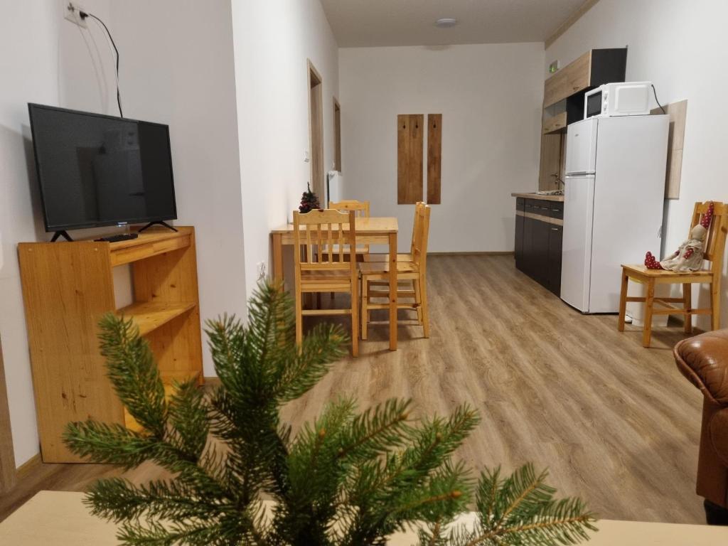 Kuchyň nebo kuchyňský kout v ubytování Chatky a apartmány Apollo na Vysočině